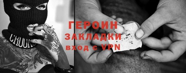 индика Ельня