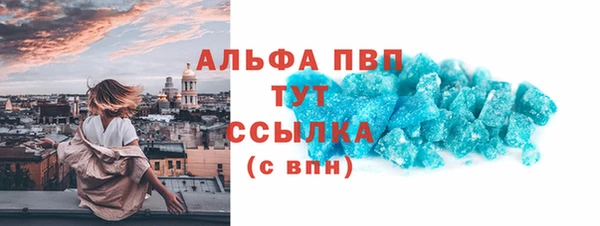 индика Ельня