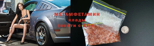 индика Ельня
