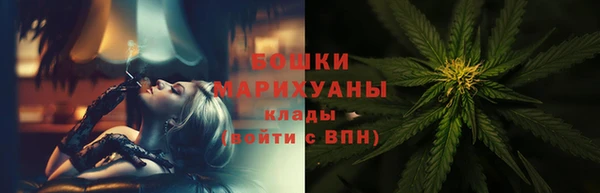 индика Ельня