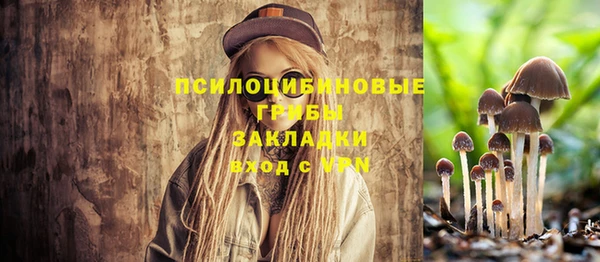 ешки Елабуга