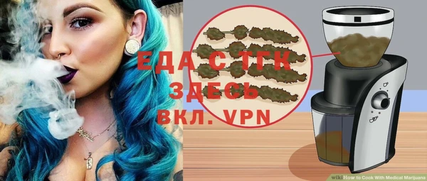 индика Ельня