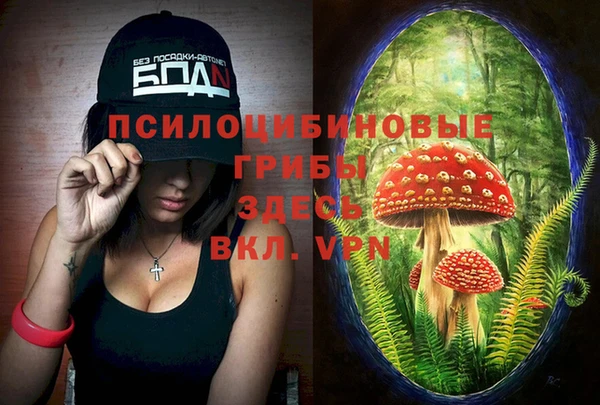 каннабис Елизово