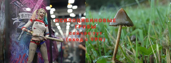ешки Елабуга