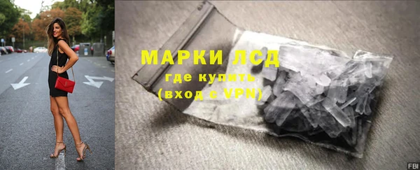 прущие грибы Ленинск-Кузнецкий