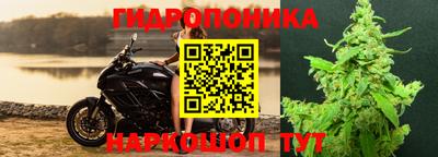 бошки Жуковский