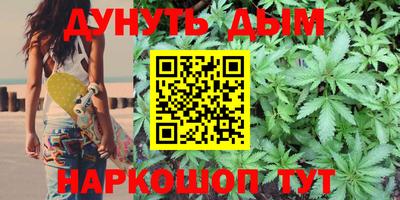 сатива Заводоуковск