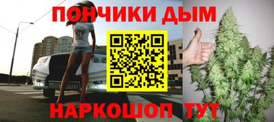 сатива Заводоуковск