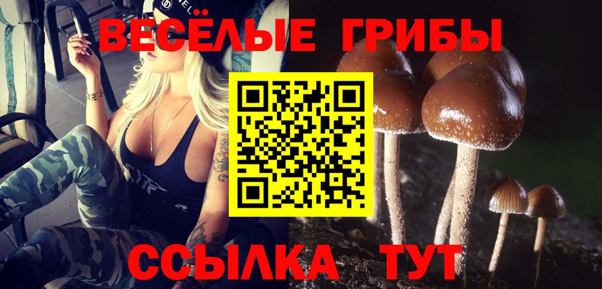Свободный  магазин  наркотиков  Вход с VPN  Псилоцибиновые грибы ЛСД 