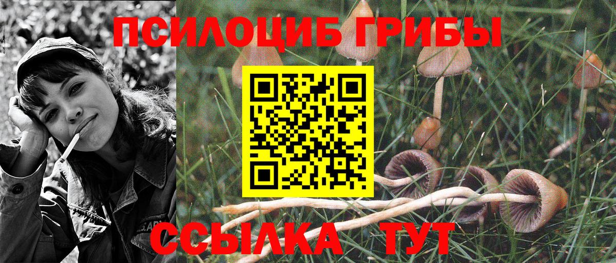 Галлюциногенные грибы MAGIC MUSHROOMS Свободный