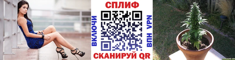 купить  сайты  Свободный  OMG как зайти  Конопля White Widow 